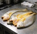 Yellow Croaker Fish